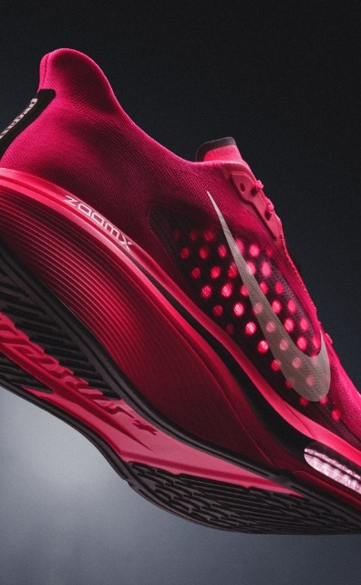 dk_nike pegasus plus 2