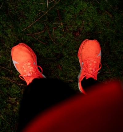 Guide: De bedste trail løbesko fra Nike i 2026