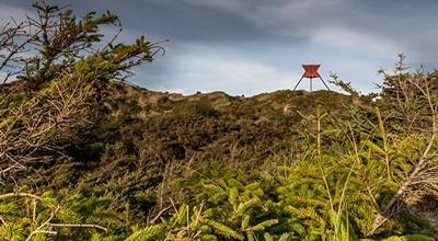 Løbsberetning - Thy Trail Marathon 2015