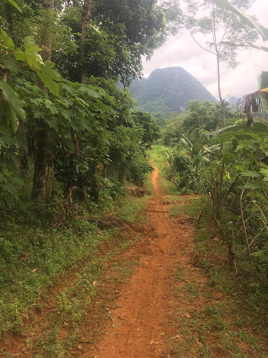 Traill&oslash;b mudder vietnam