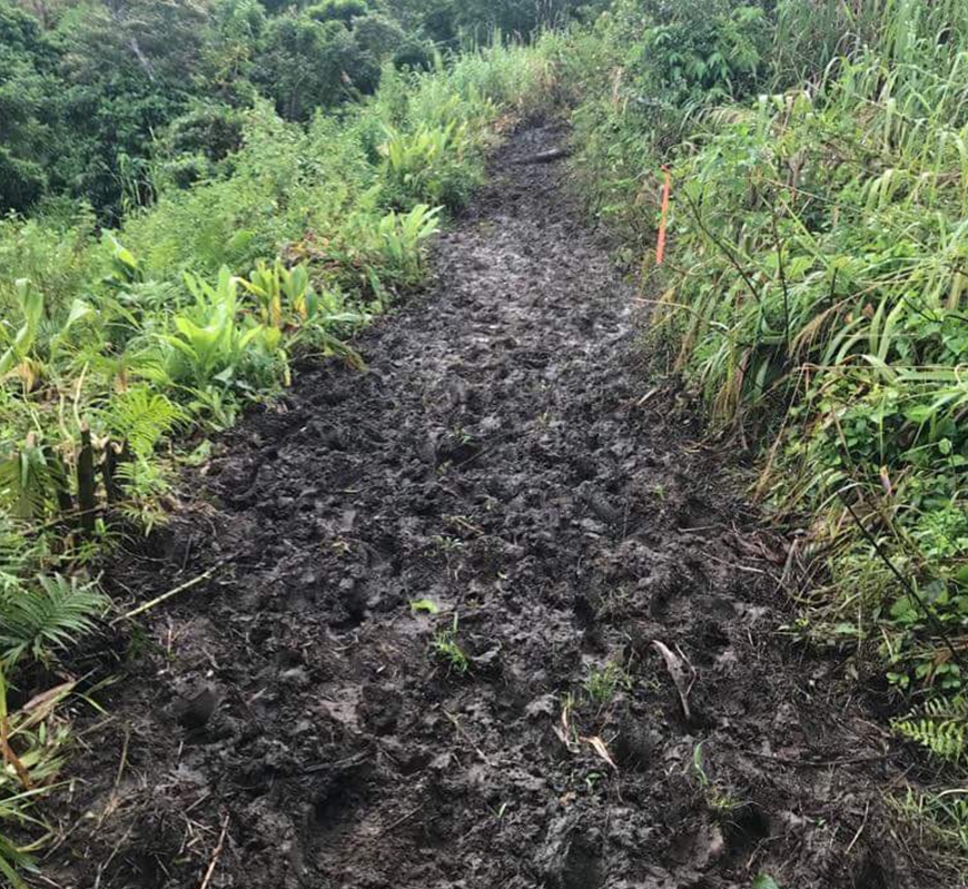 Fiji ultra trail simon grimstrup 