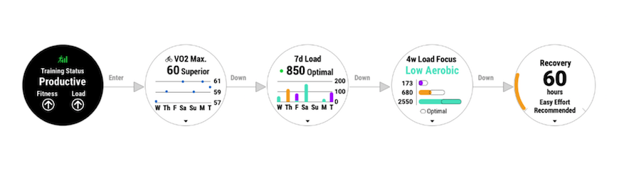 garmin fenix 6 status load