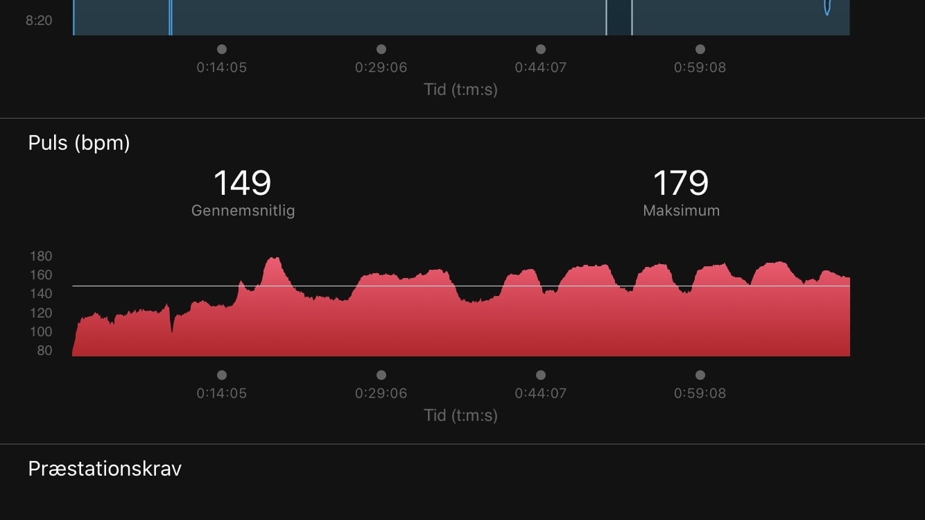 fenix 5 puls