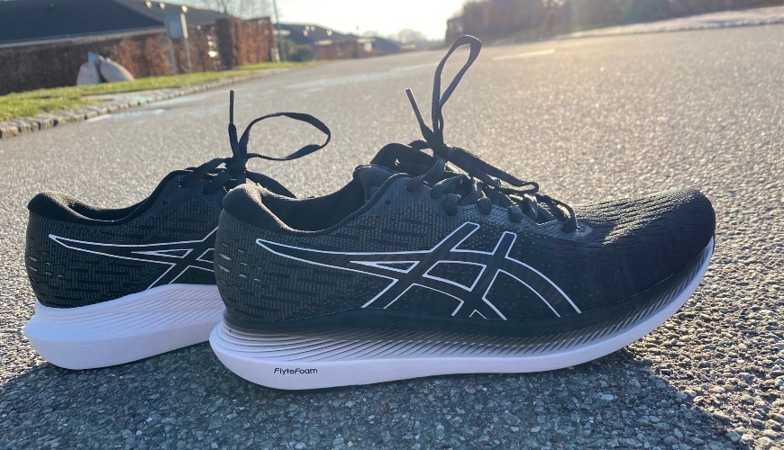 ASICS Guidesole Evoride 2